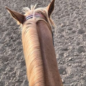 Meet your Posher, Jean